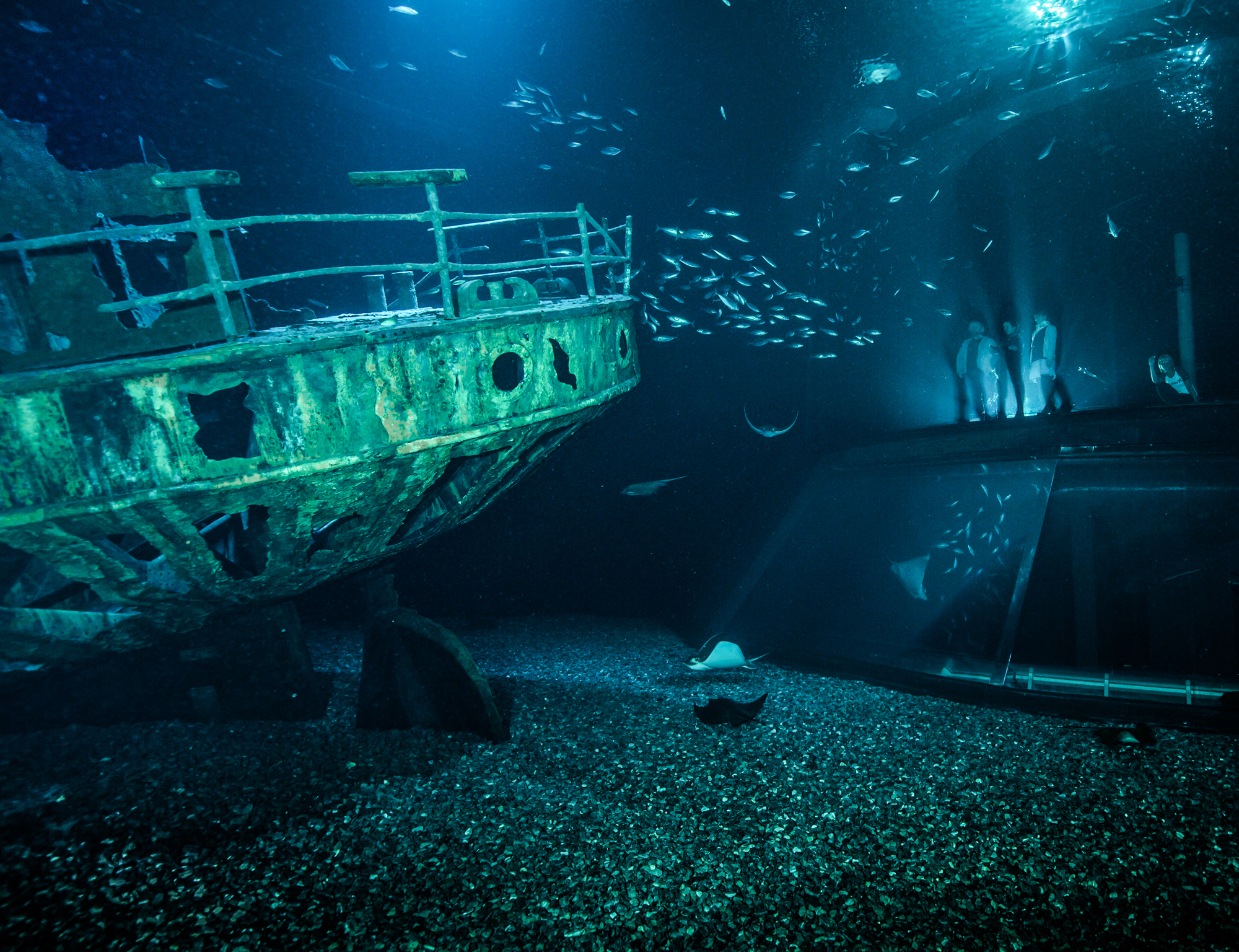 OZEANEUM_SchiffswrackOffenerAtlantik